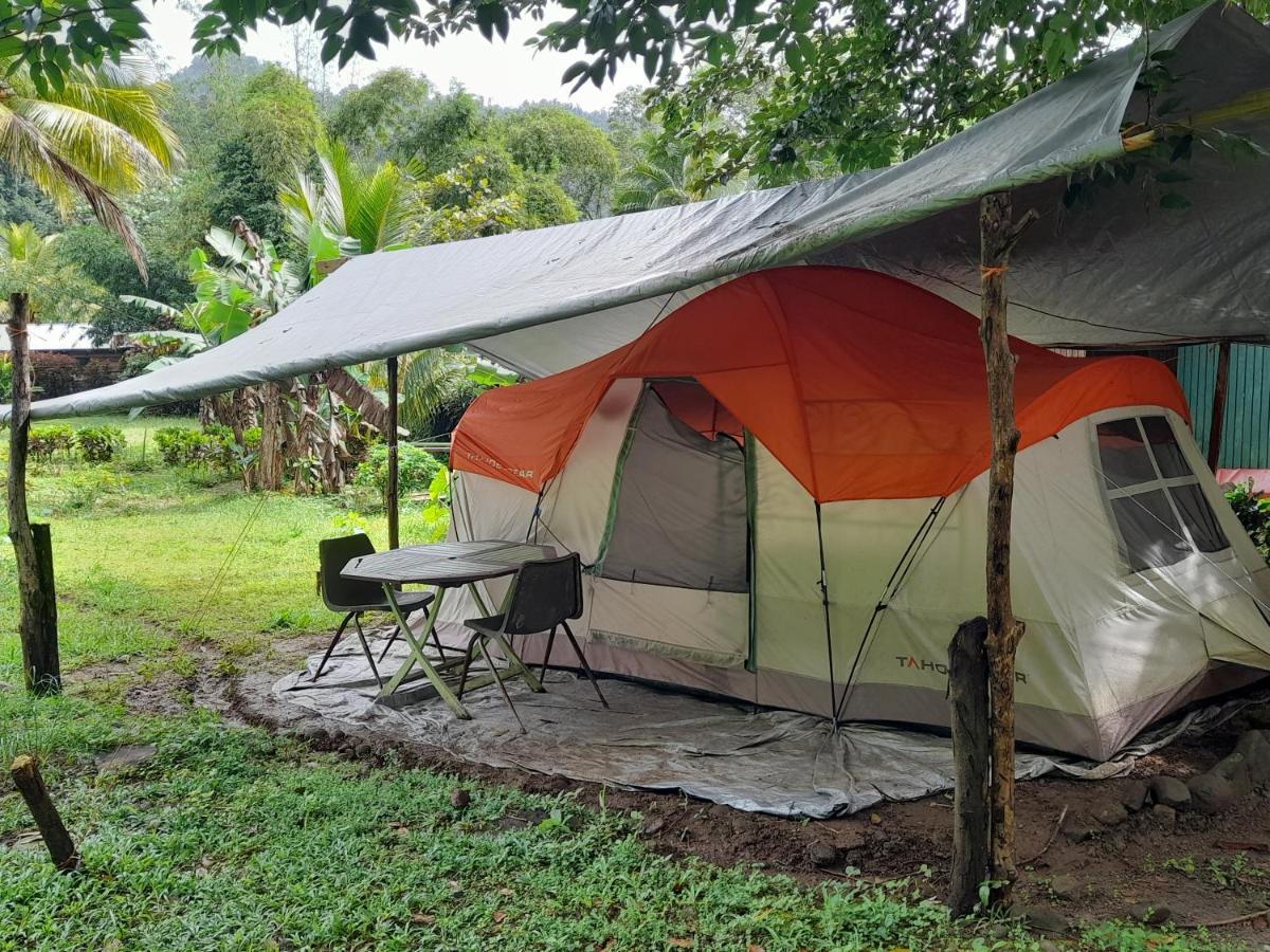 3 Rivers Eco Lodge Rosalie Exterior photo