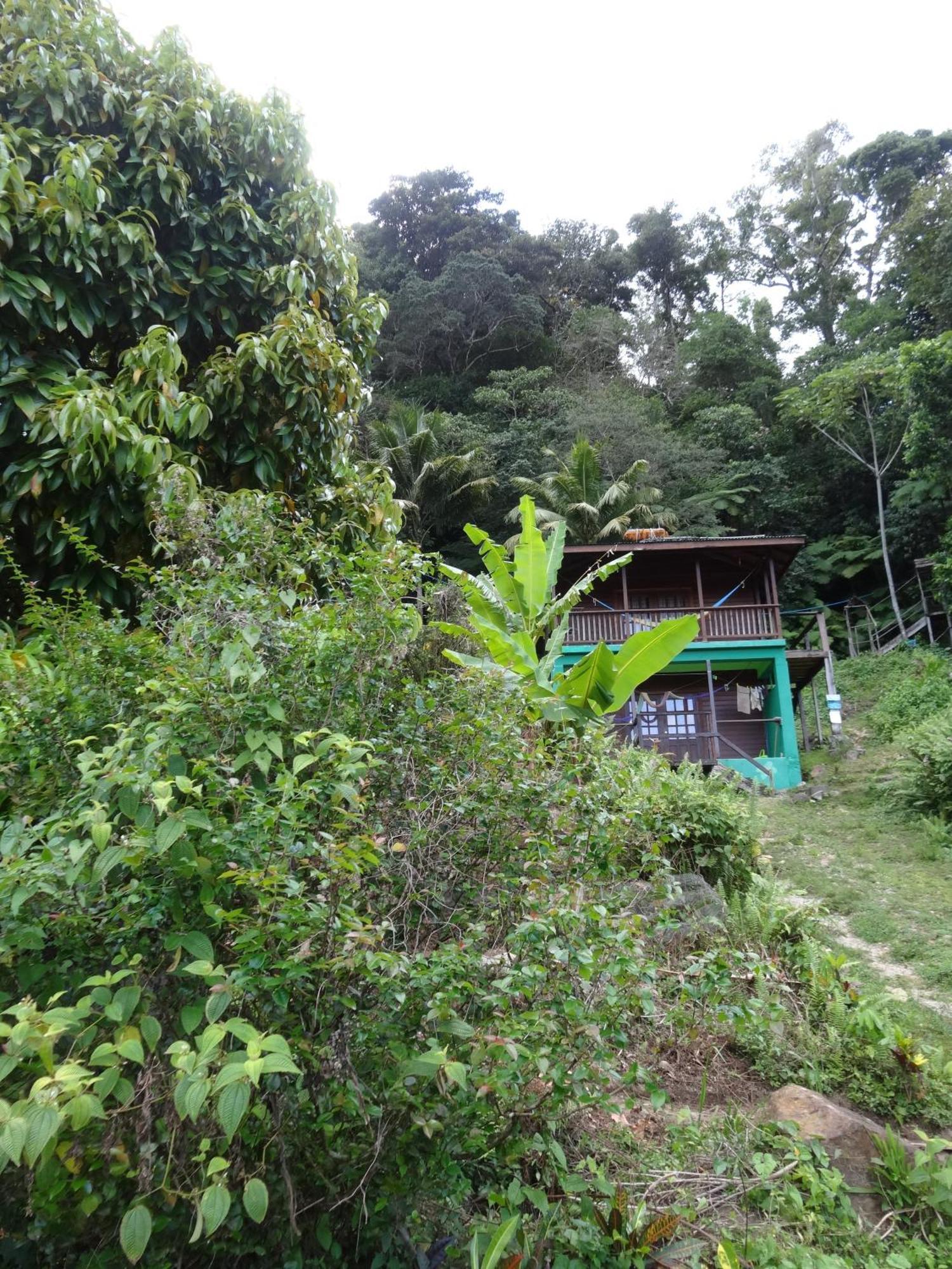 3 Rivers Eco Lodge Rosalie Exterior photo